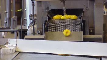 Peaches on line