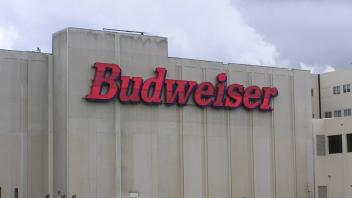 Budweiser