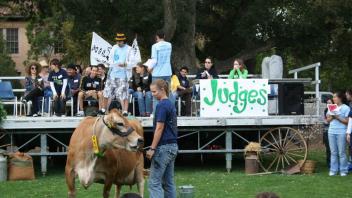 Cow Milking Contestants