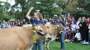 These are the Cows (didn’t know that!!)