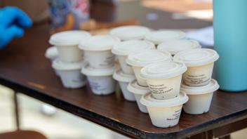 cups of ice cream lined up on a table