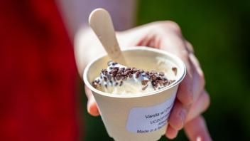 ice cream at RMI on Picnic Day
