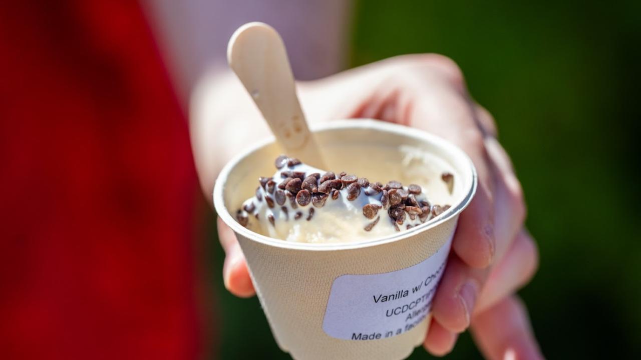 ice cream at RMI on Picnic Day