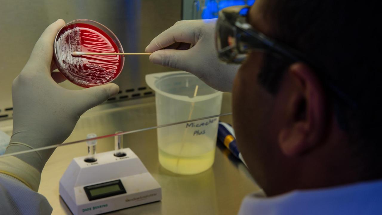 Unsplash photo - An Enteric Diseases Laboratory Branch (EDLB) public health scientist, preparing foodborne bacteria for a DNA fingerprinting test.