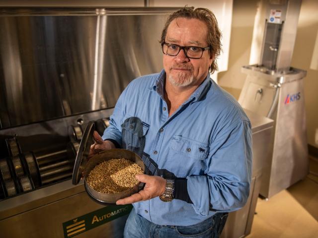 Glen Fox pic with grain