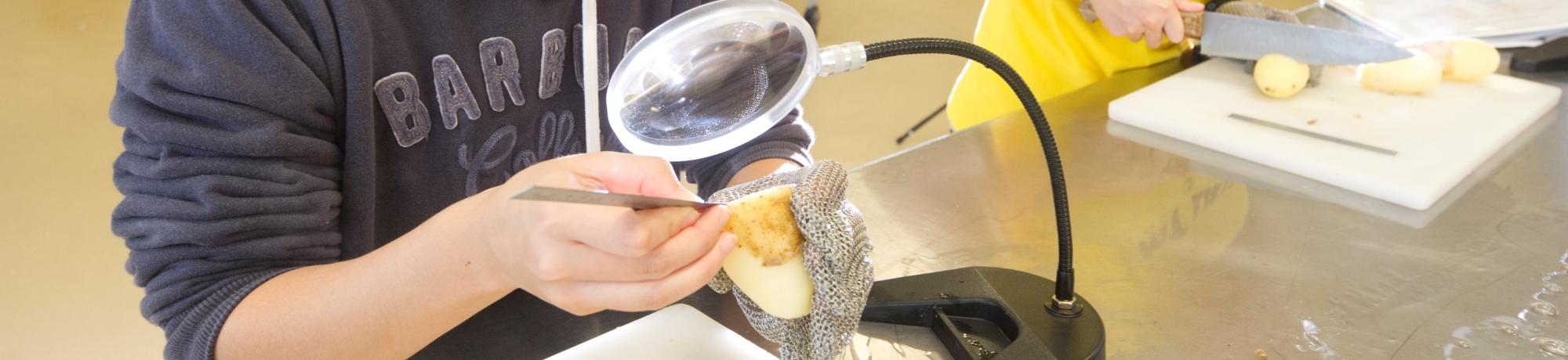 What Is Food Science Food Science And Technology